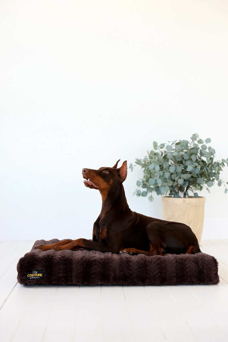 Brown Plume Pet Crate Pad - Image 3