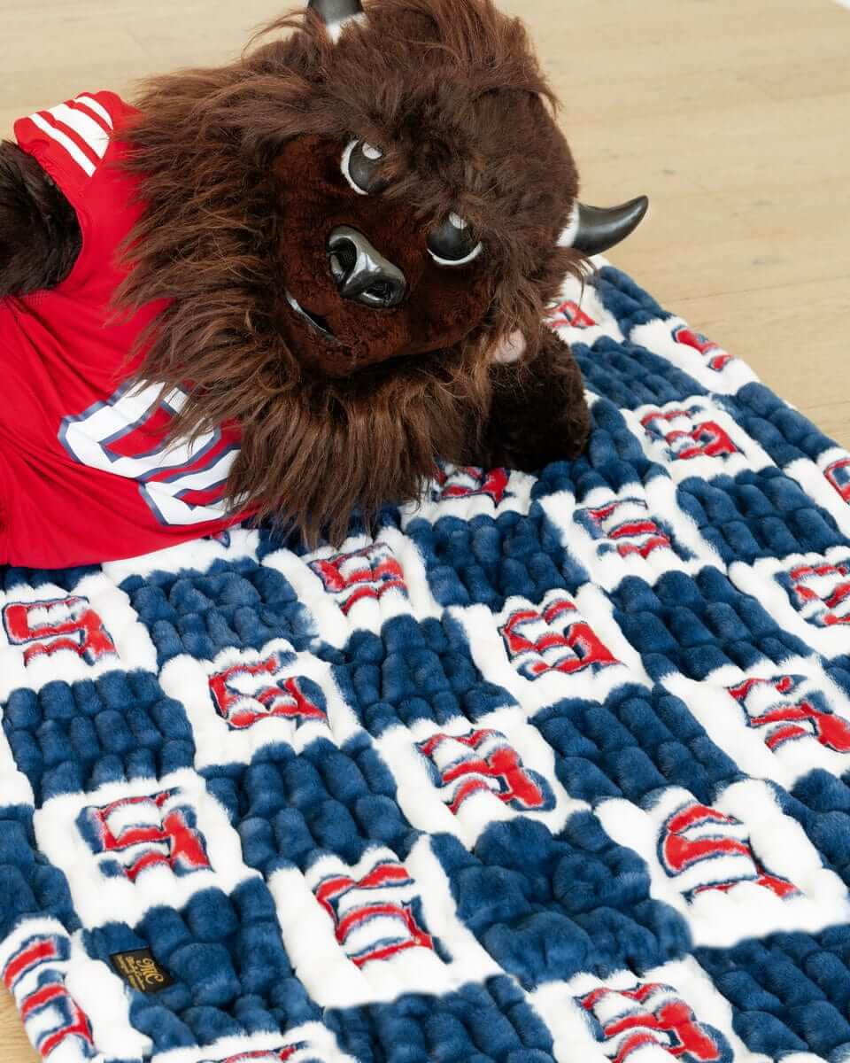 Utah Tech Trailblazers Blanket - Hugs - Image 3